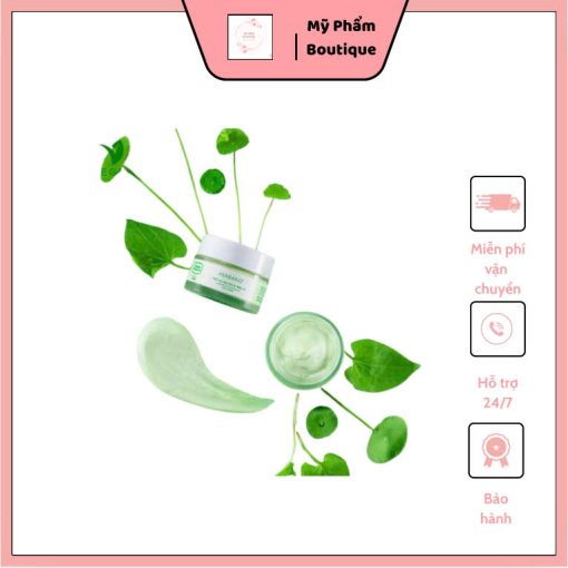mặt nạ rau má và diếp cá